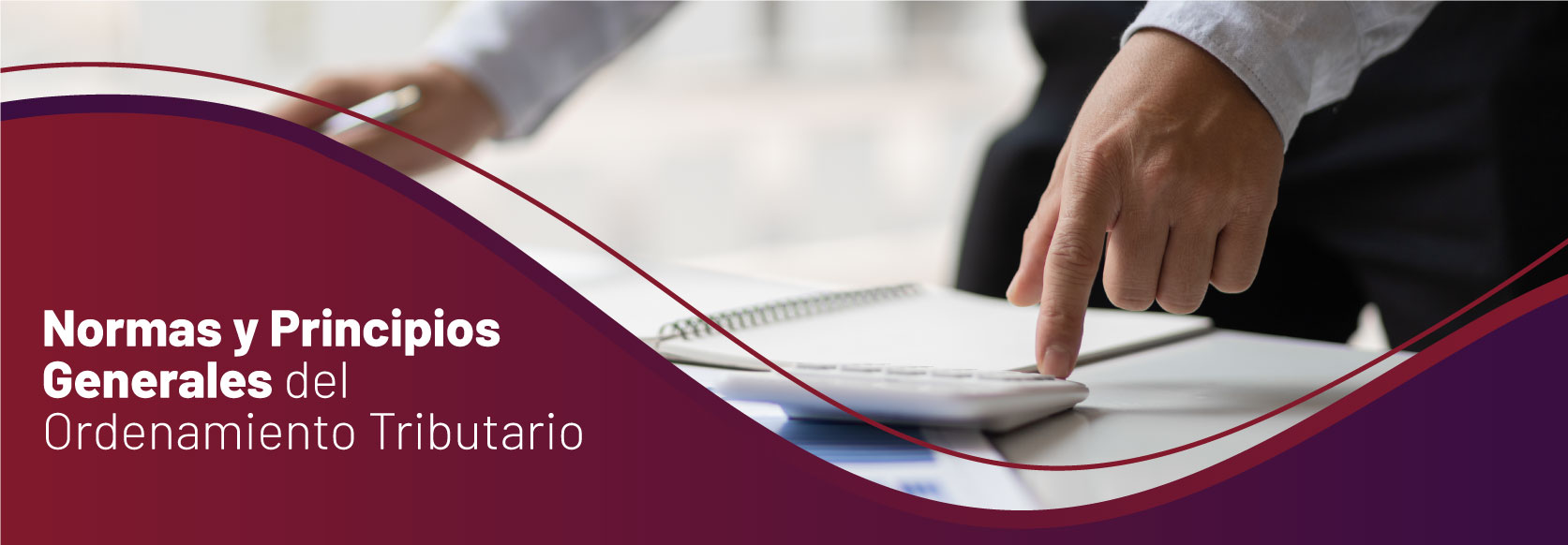 MAF-04 Normas y Principios Generales del Ordenamiento Tributario
